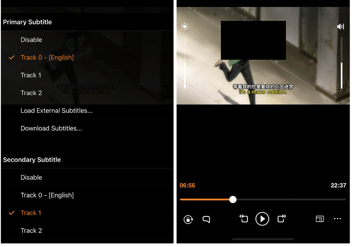 Support Dual Subtitles for Language Learners on iOS image