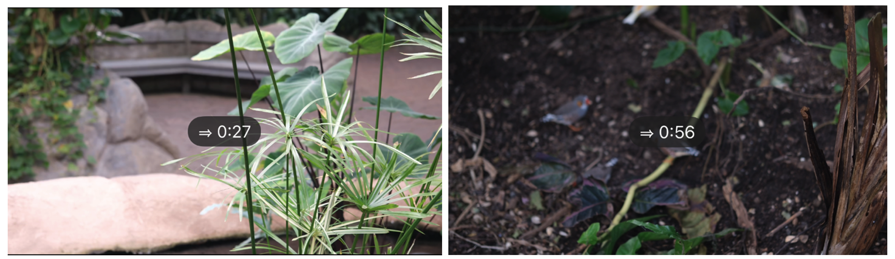 Allow Dynamic Length Seek on Swipe image